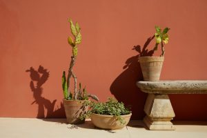 Petra Country House: il tuo spazio ideale per smart working immerso nella natura del Salento