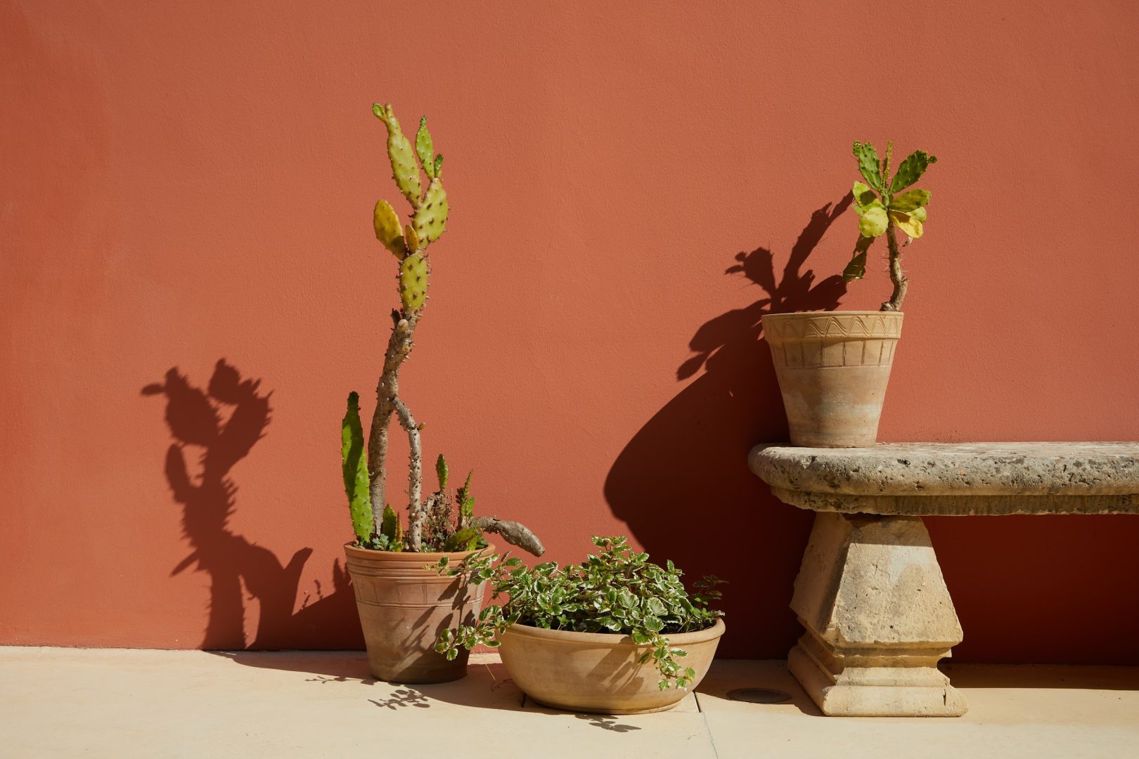 Petra Country House: il tuo spazio ideale per smart working immerso nella natura del Salento